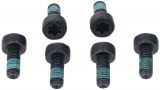 Dvouhmotový setrvačník SACHS SA 2294001095