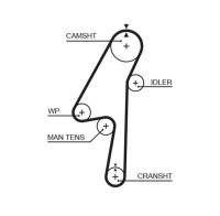 Rozvodový řemen GATES (GT 5580XS) - VOLVO