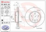 Brzdový kotouč BREMBO 09.8873.31