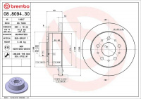 Brzdový kotouč BREMBO 08.8094.30 - CITROËN, FIAT, PEUGEOT