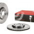 Brzdový kotouč BREMBO 09.7227.20 - RENAULT